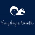 Everything Is Aimeriffic